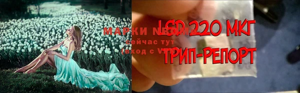 гидра Баксан